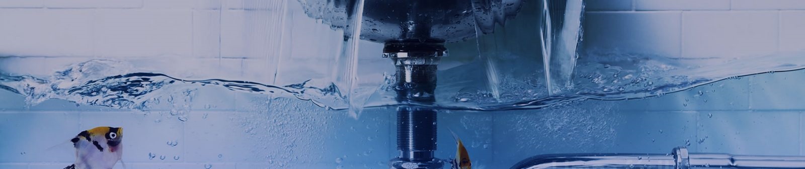 MARCELO HIDRÁULICA (ENCANADOR) (ITAJAÍ/SC), desentupidoras rj